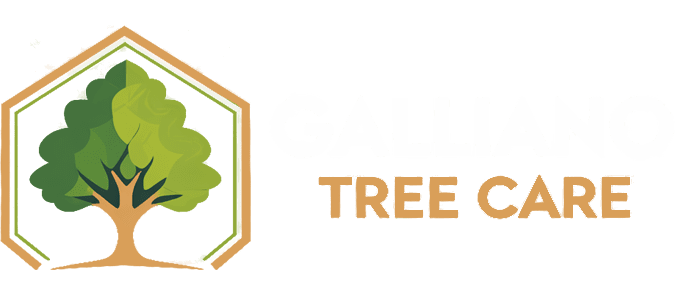 Galliano Tree Care