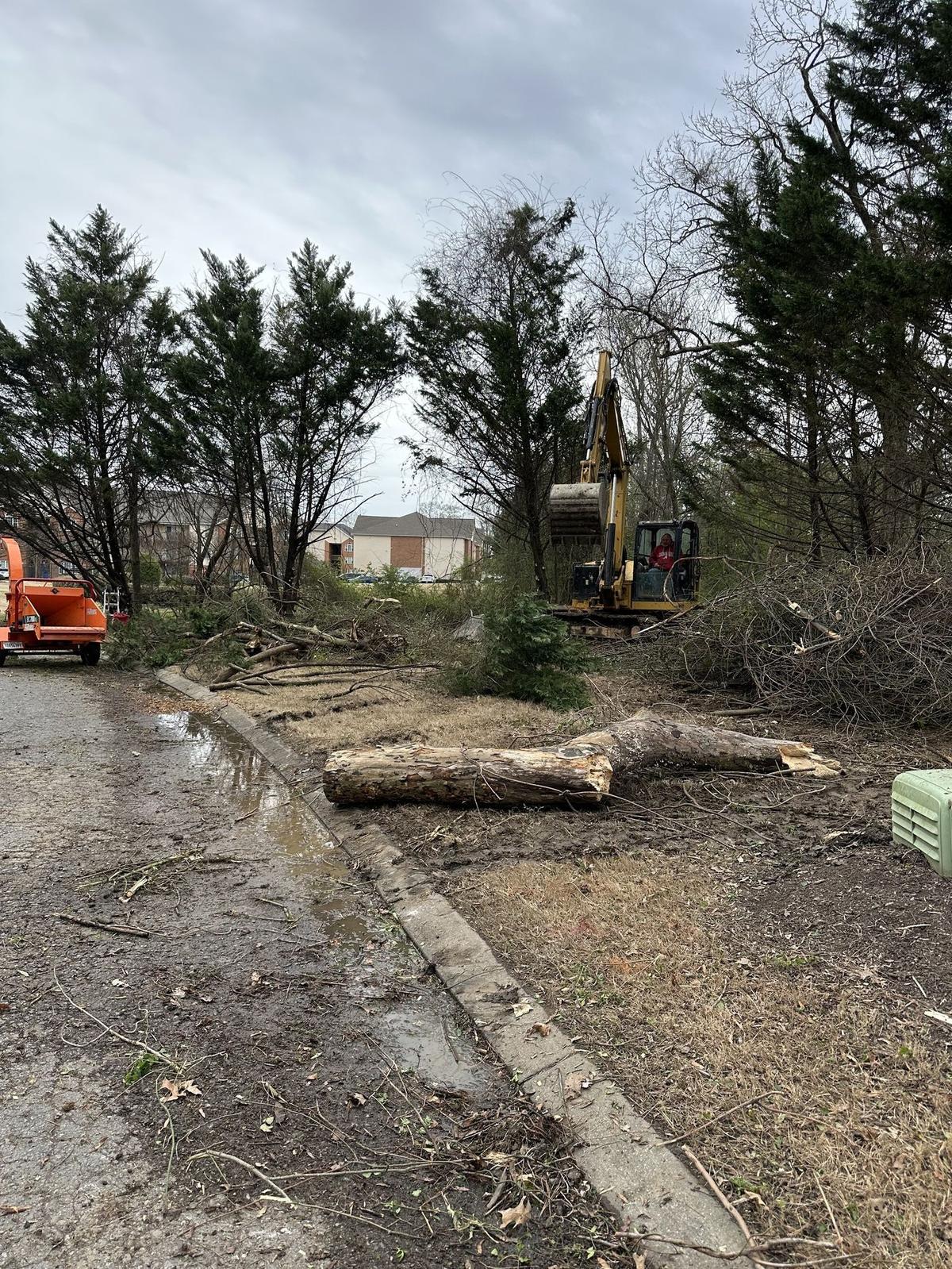 Excavator clearing storm debris from a property